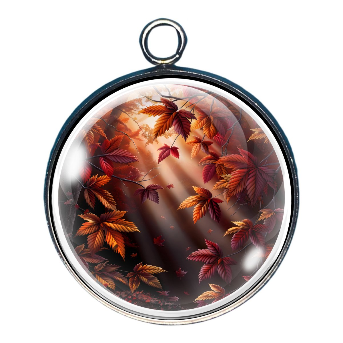 Charm of the sun thru the autumn leaves