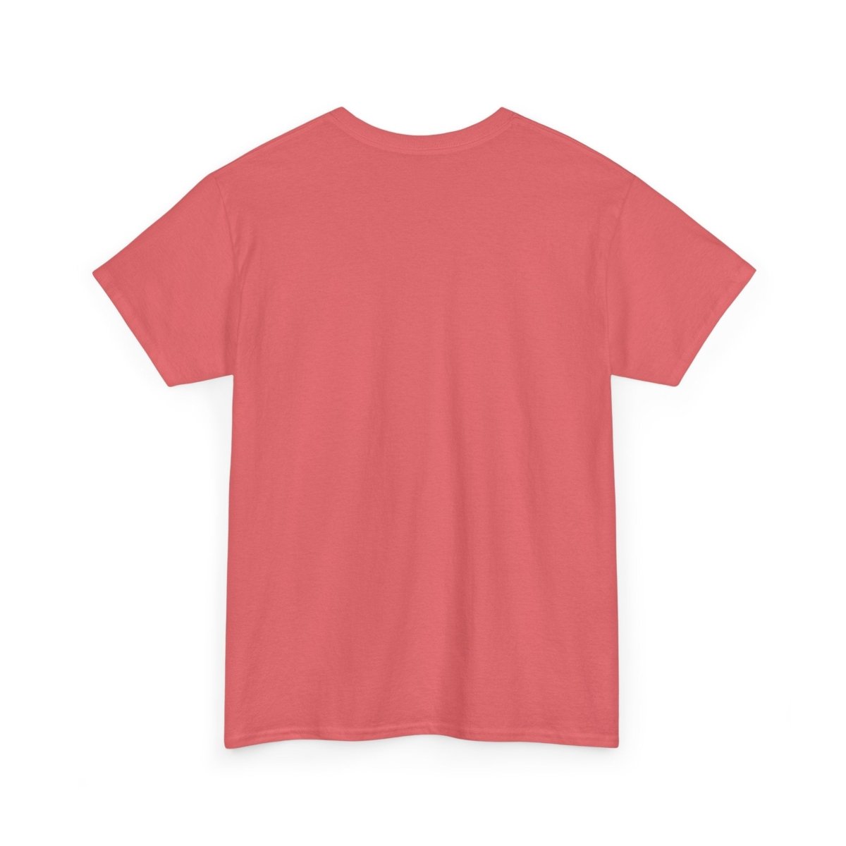 "There is Literally No Way a Horse Drew This Wagon" – Unisex Heavy Cotton Tee