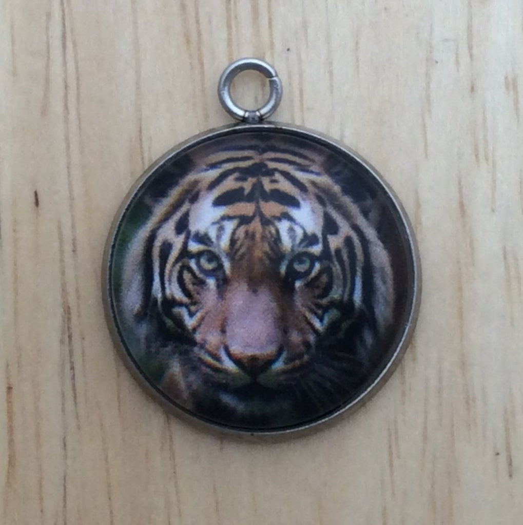 Big Cats Photo Glass Cabochon Charms - ILikeWorms