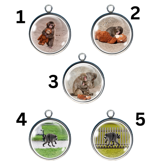Jimothy & Punch Internet Sensations Charms