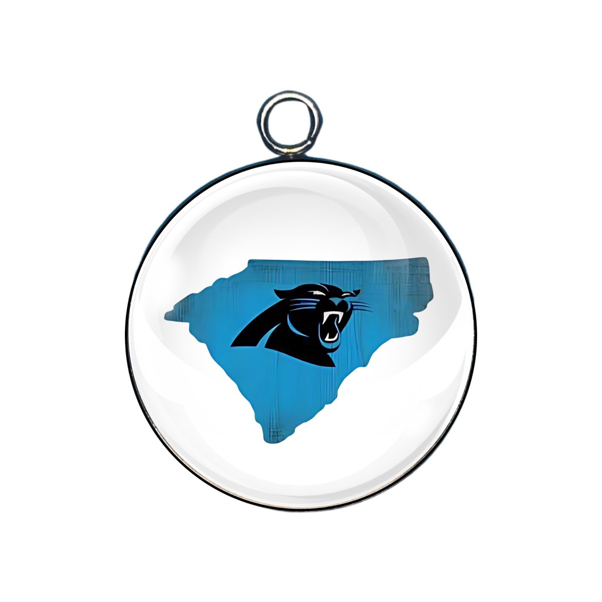 Carolina Panther Charms