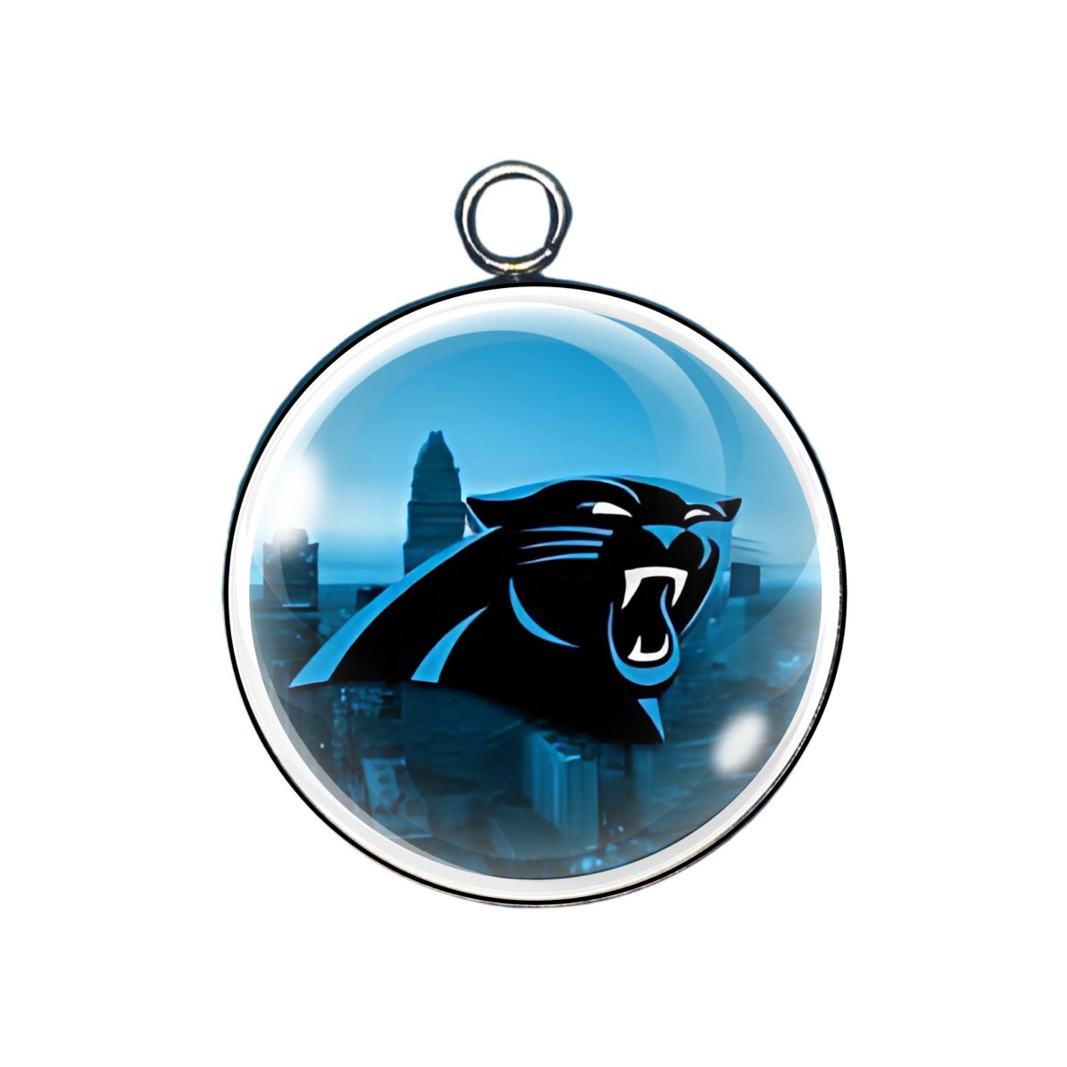 Carolina Panther Charms