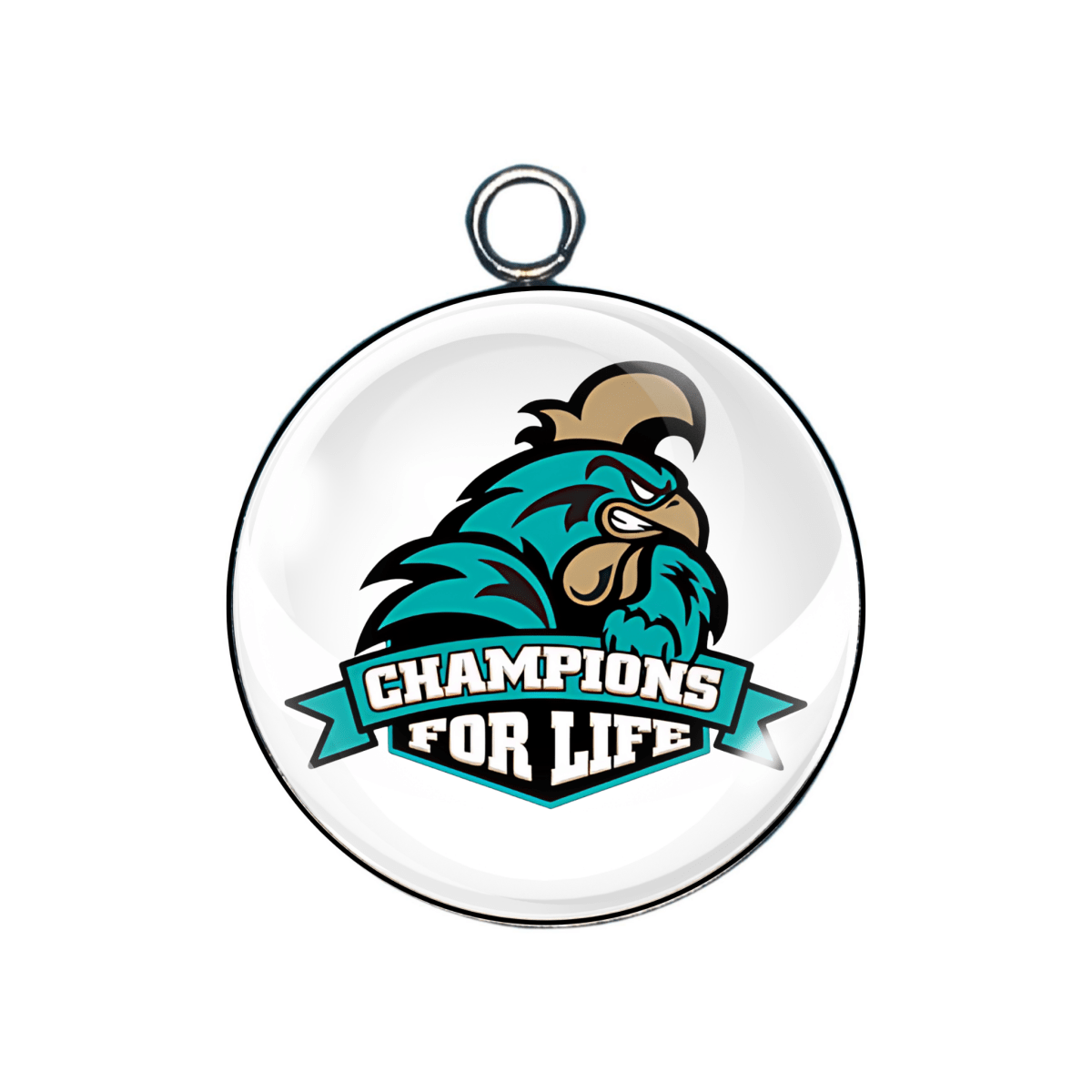 Coastal Carolina Chanticleers Glass Cabochon Charms