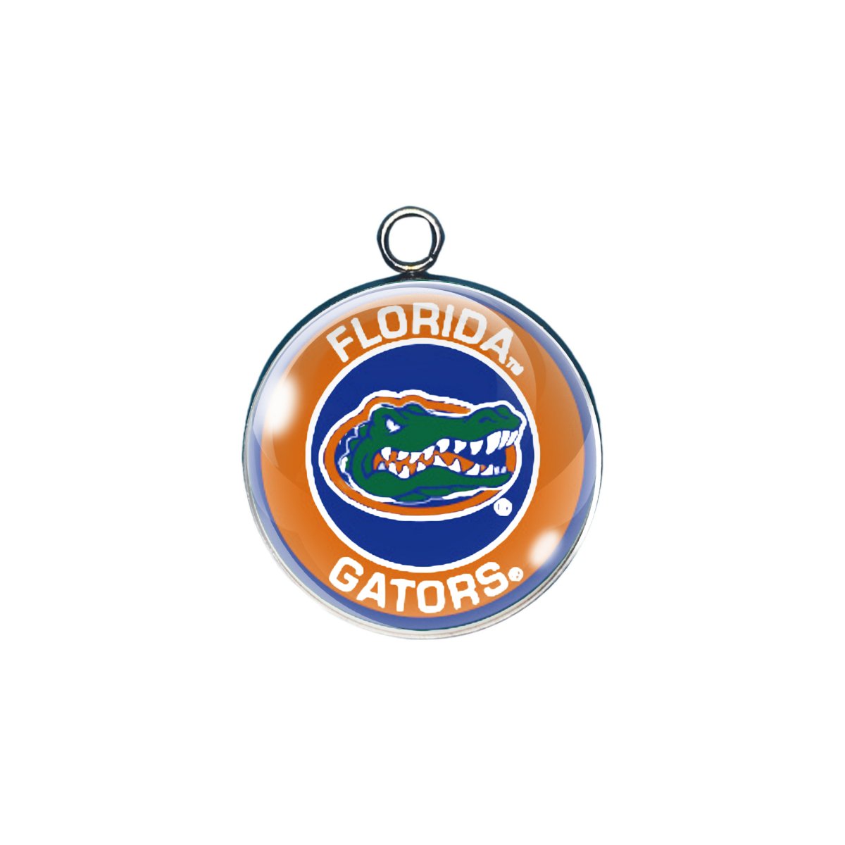 Florida Gators glass cabochon charm