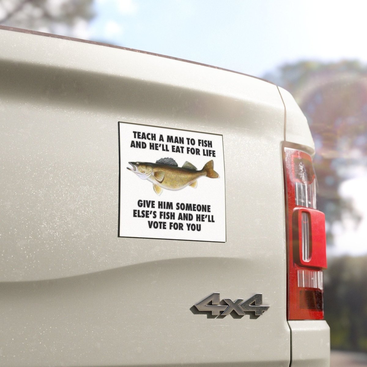 Funny Car Magnets