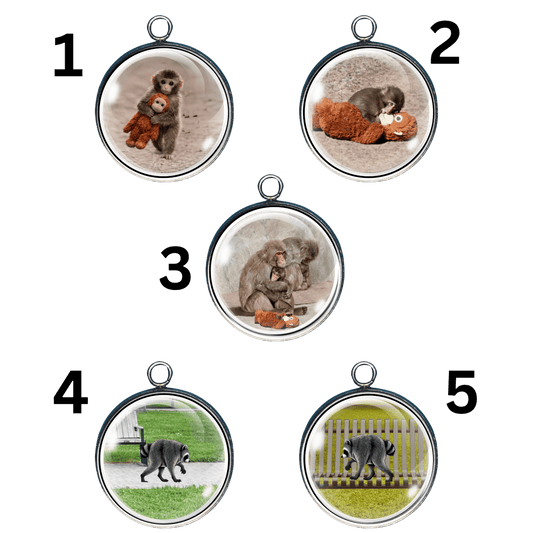 Jimothy & Punch Internet Sensations Charms