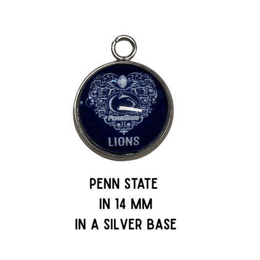 Penn State Charm Deal
