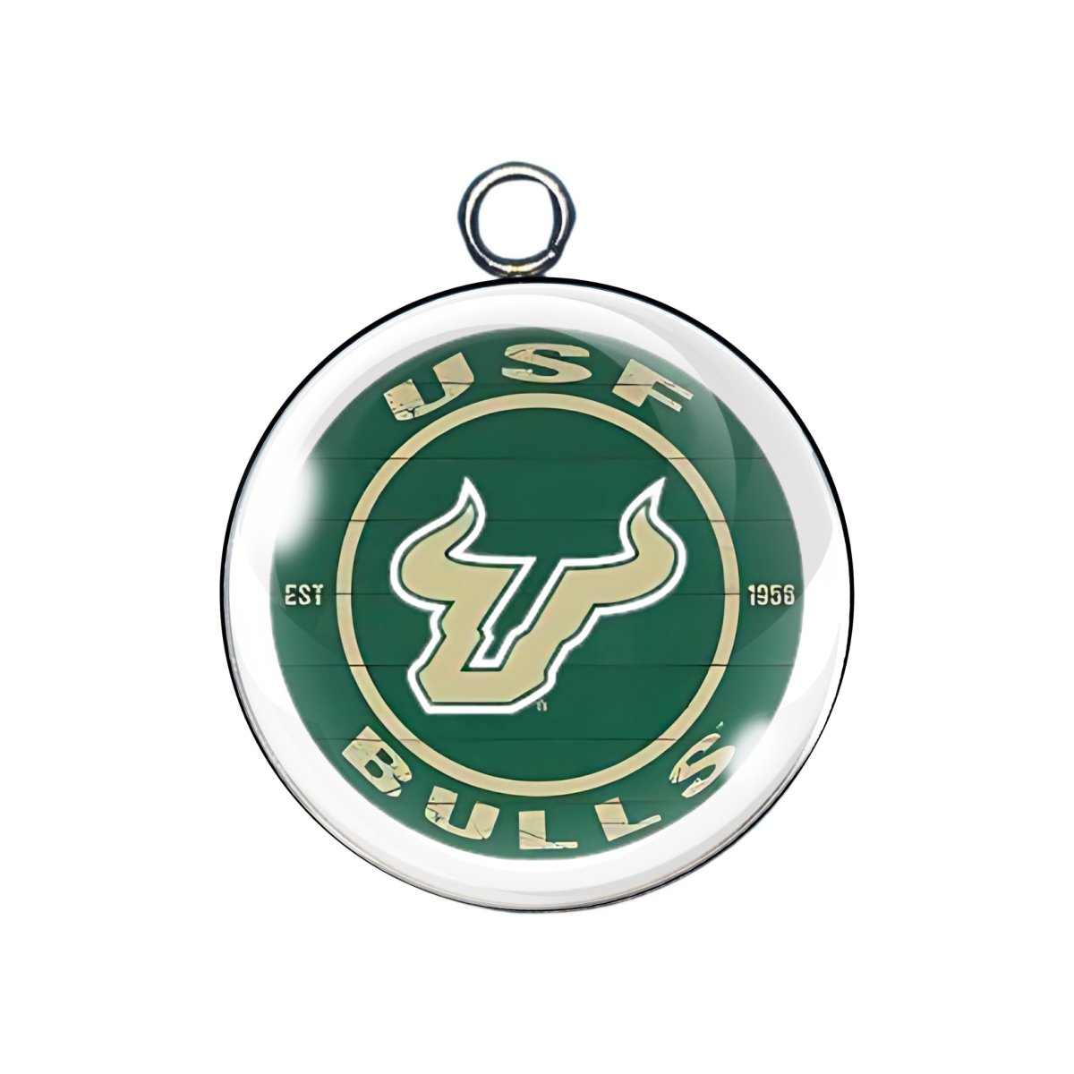 USF Bulls Charms