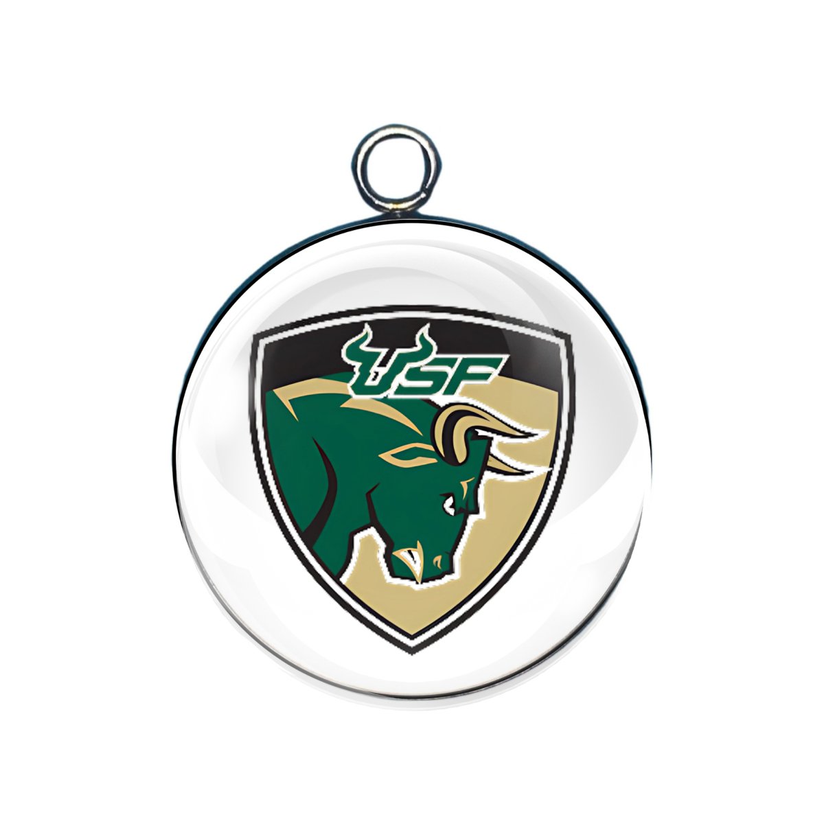 USF Bulls Charms