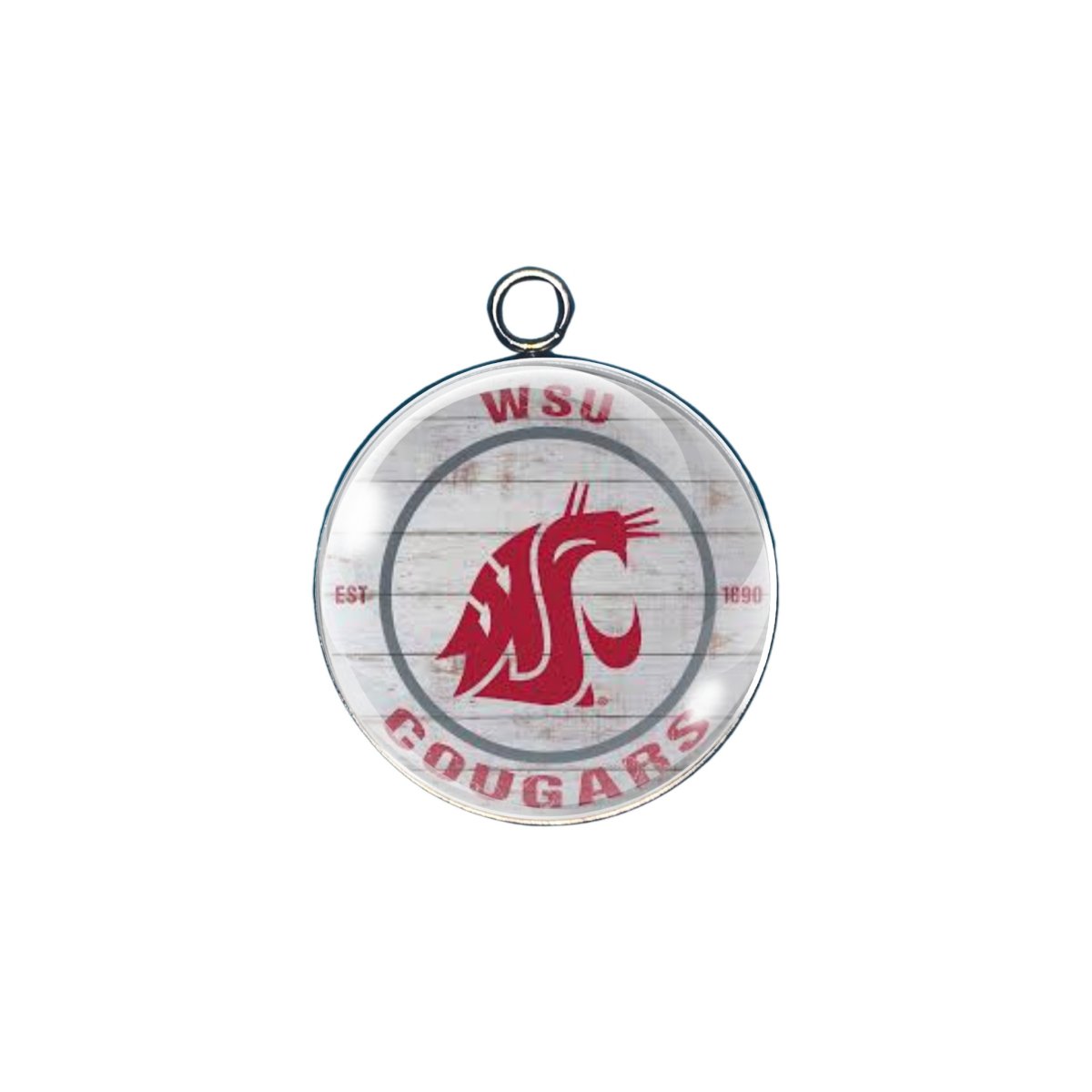 Washington Cougars Glass cabochon charm