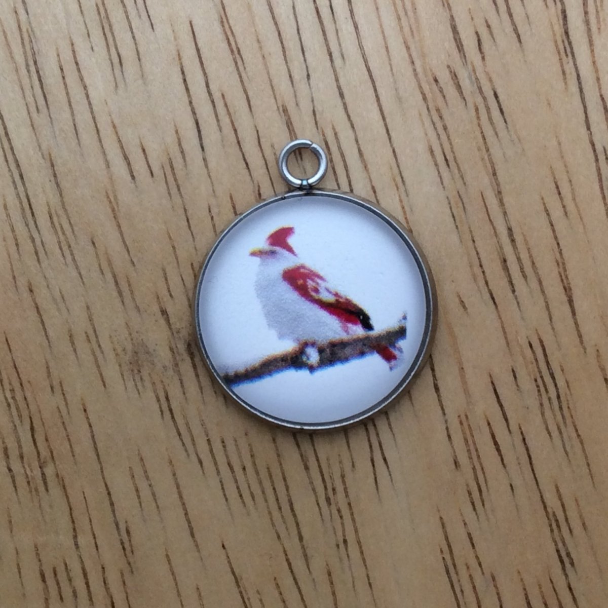 glass cabochon charm with a beautiful red and white cardinal on a snowy branch