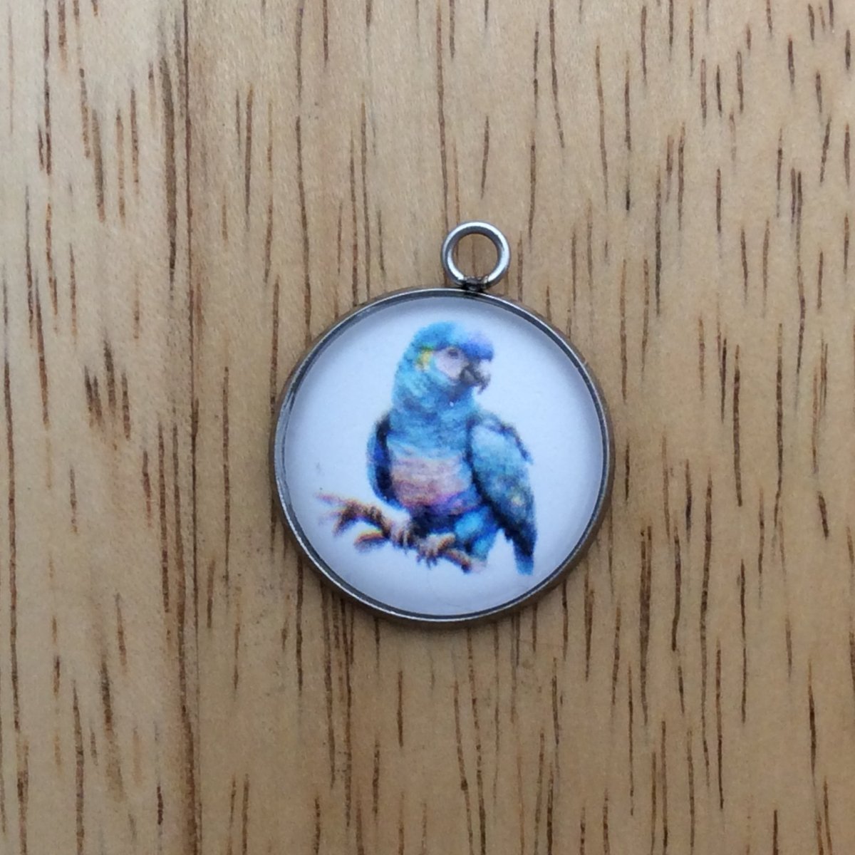 Glass cabochon charm with a blue parrot