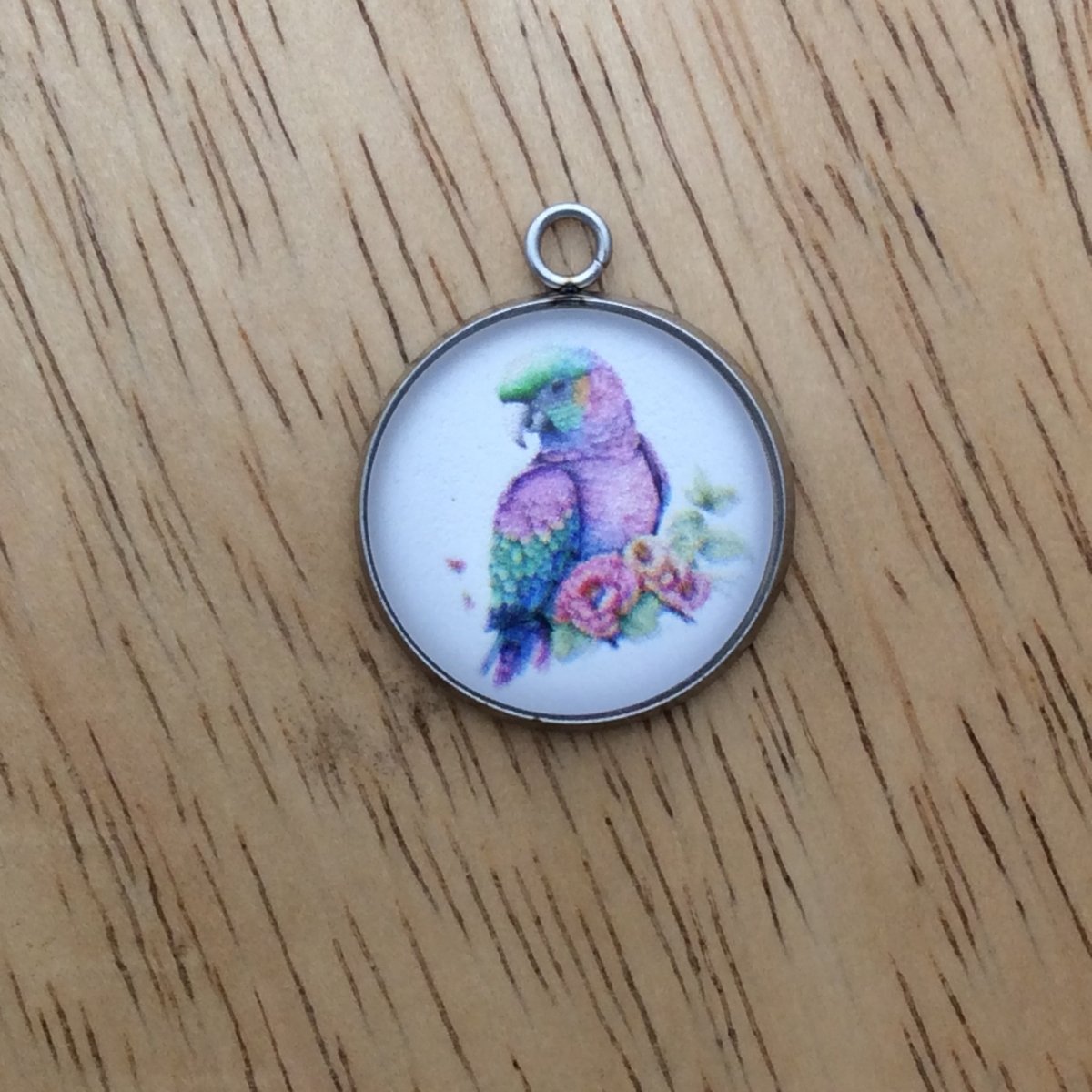 glass cabochon charm with a pink, blue and green parrot