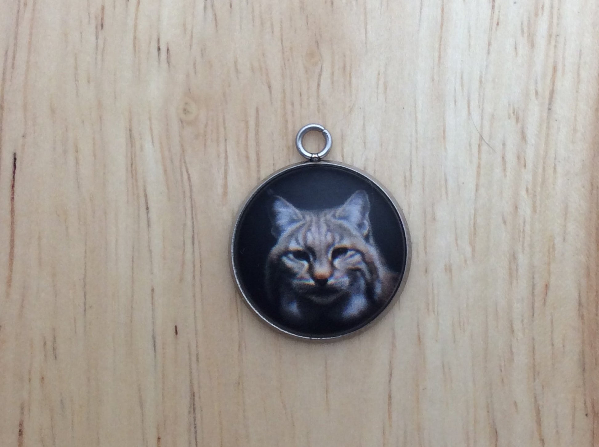 Big Cats Photo Glass Cabochon Charms - ILikeWorms