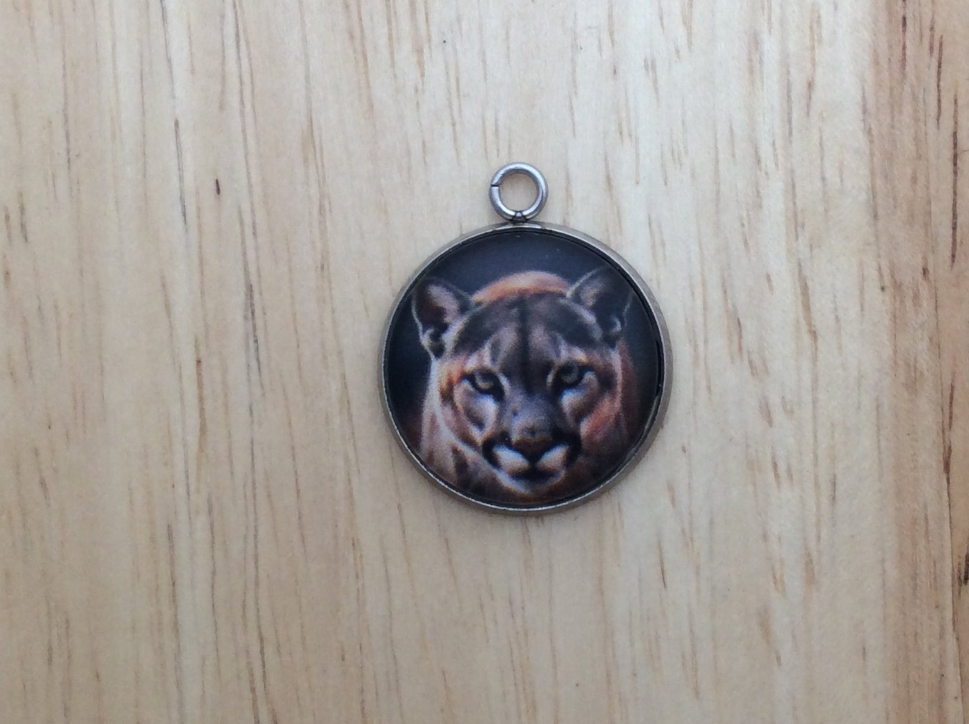 Big Cats Photo Glass Cabochon Charms - ILikeWorms