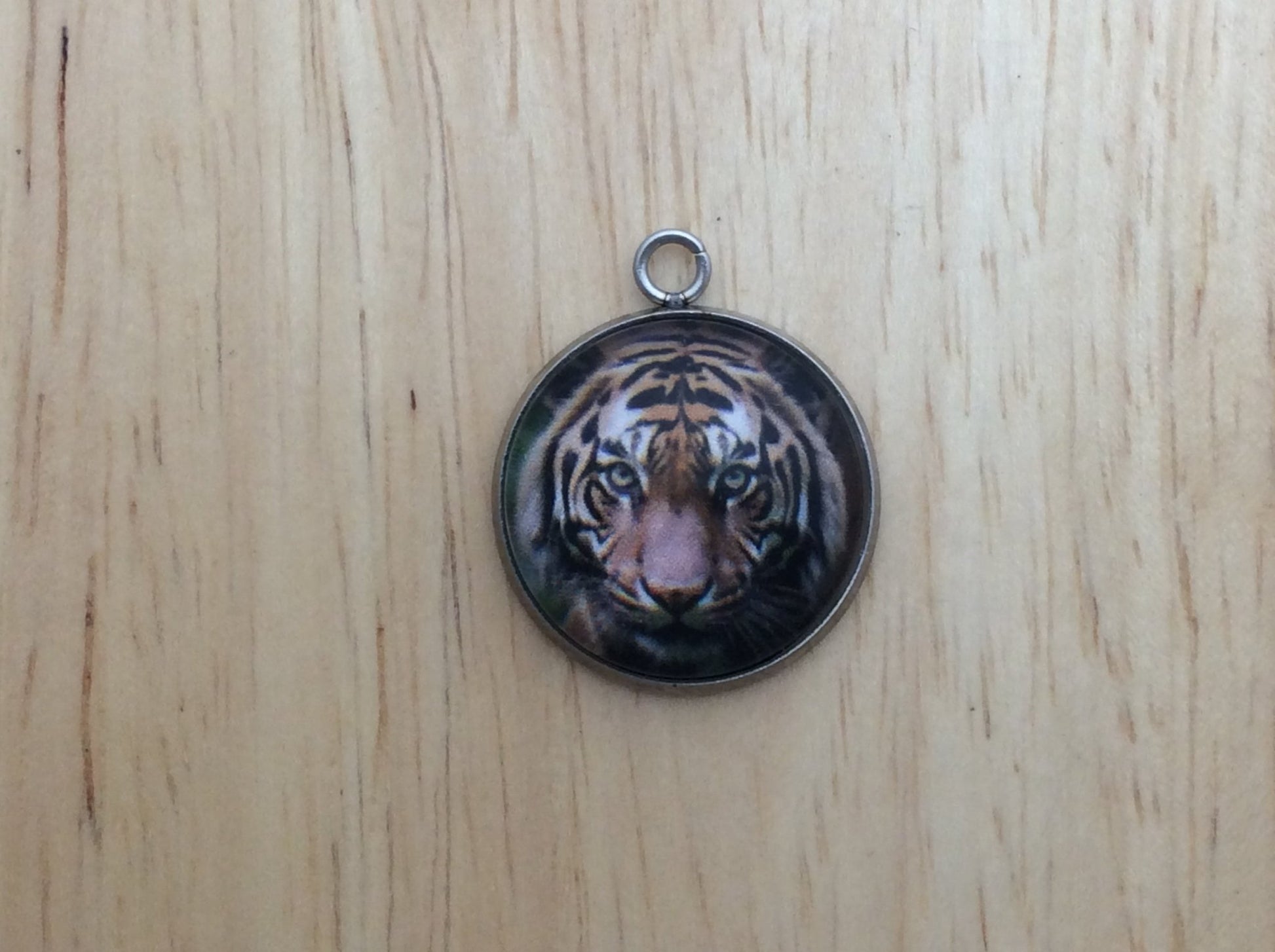 Big Cats Photo Glass Cabochon Charms - ILikeWorms