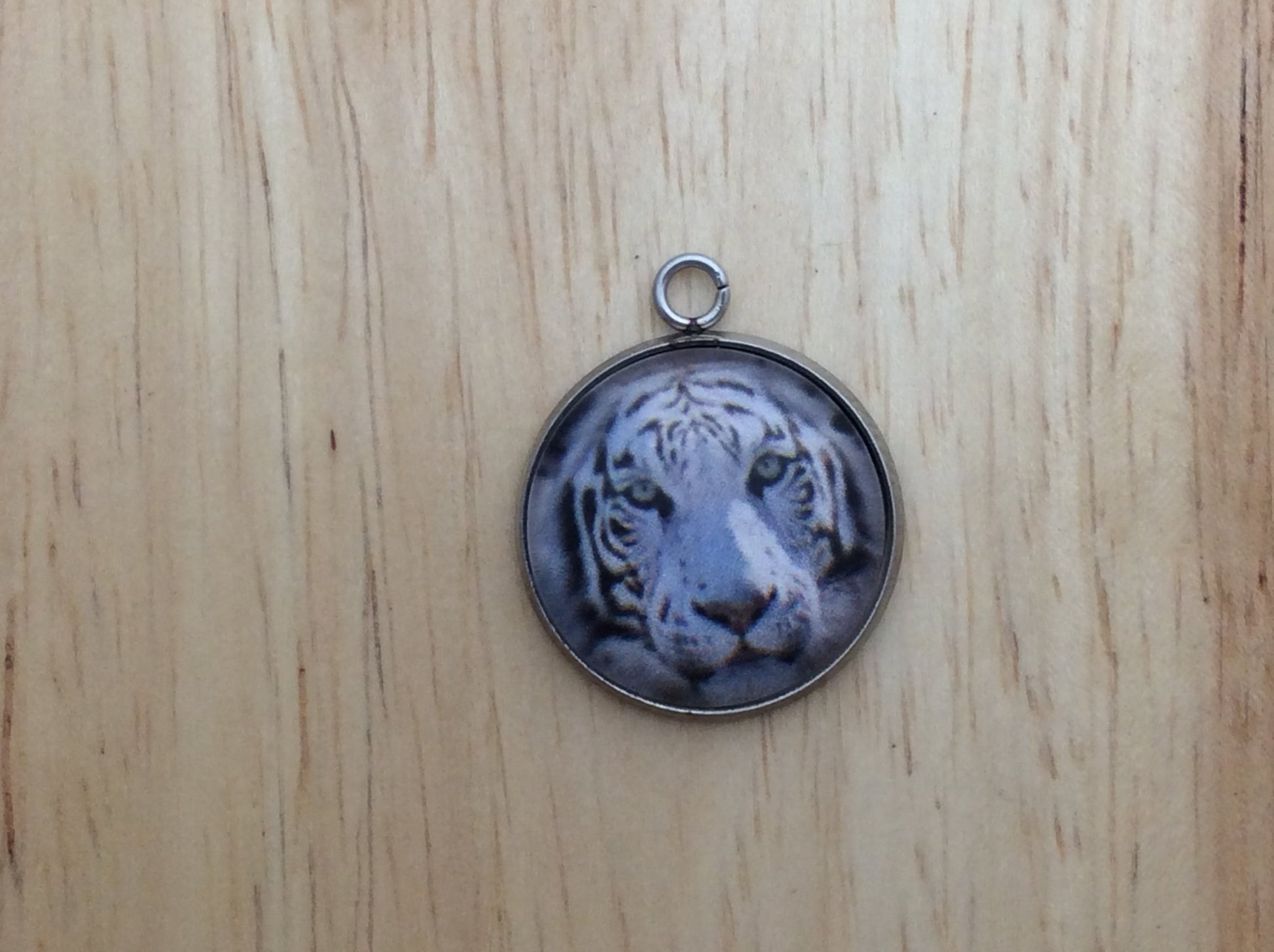 Big Cats Photo Glass Cabochon Charms - ILikeWorms