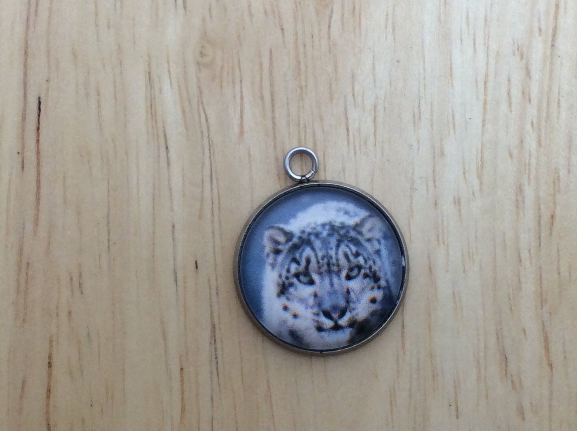 Big Cats Photo Glass Cabochon Charms - ILikeWorms