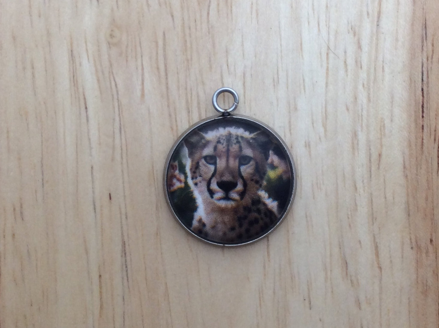 Big Cats Photo Glass Cabochon Charms - ILikeWorms