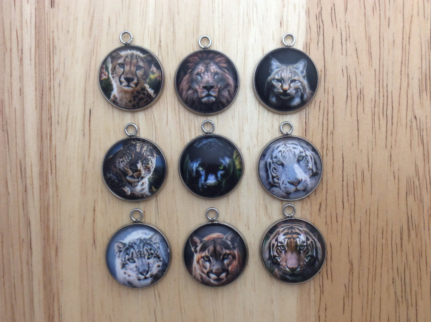 Big Cats Photo Glass Cabochon Charms - ILikeWorms