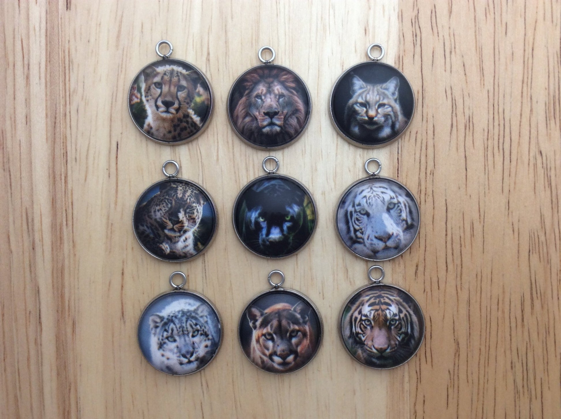 Big Cats Photo Glass Cabochon Charms - ILikeWorms