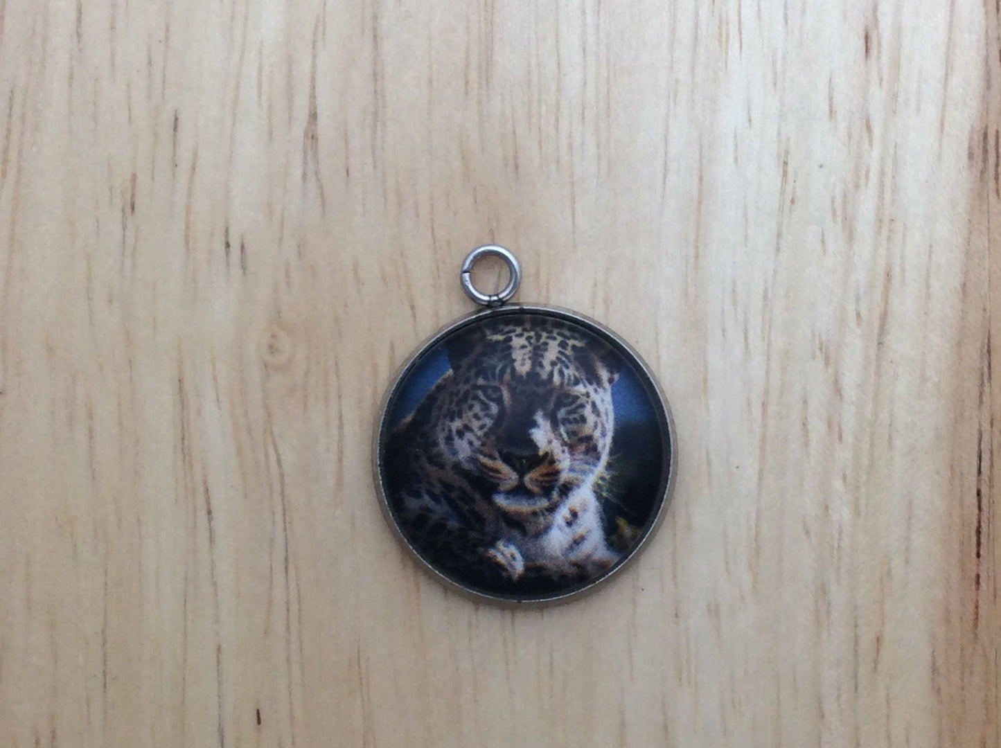 Big Cats Photo Glass Cabochon Charms - ILikeWorms