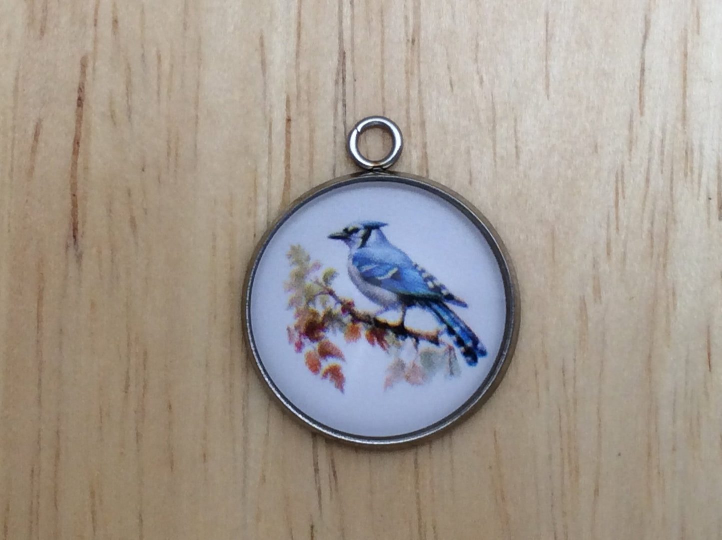 Blue Jay Photo Glass Cabochon Charms - ILikeWorms