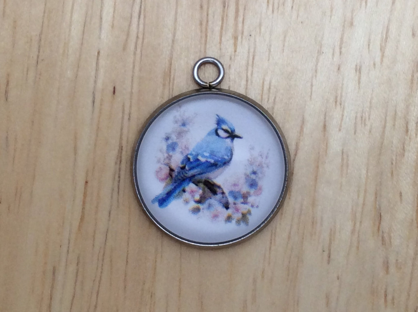 Blue Jay Photo Glass Cabochon Charms - ILikeWorms