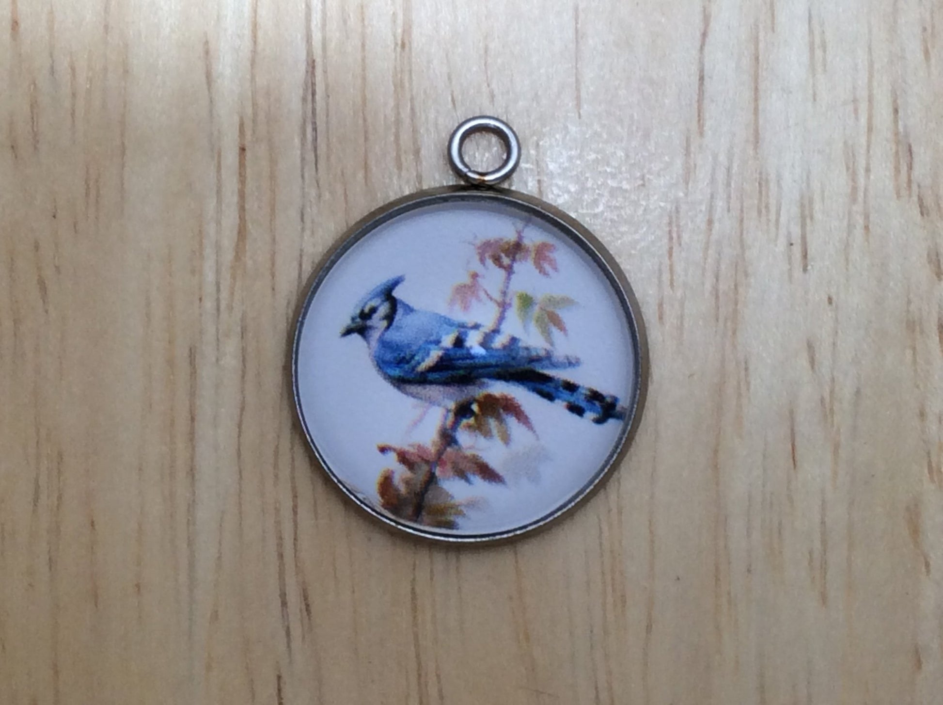 Blue Jay Photo Glass Cabochon Charms - ILikeWorms