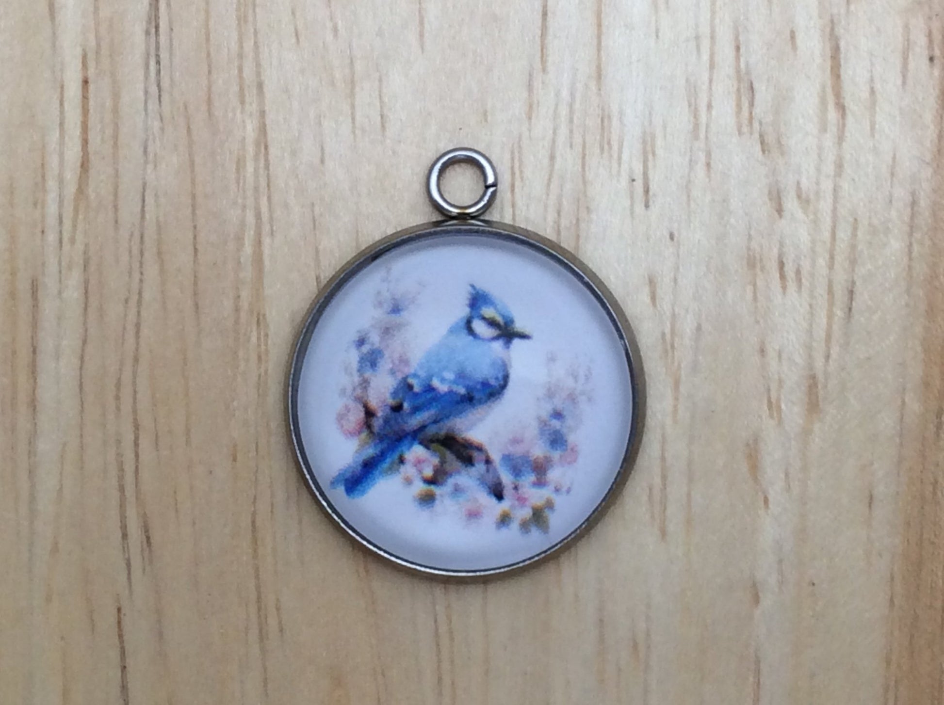 Blue Jay Photo Glass Cabochon Charms - ILikeWorms