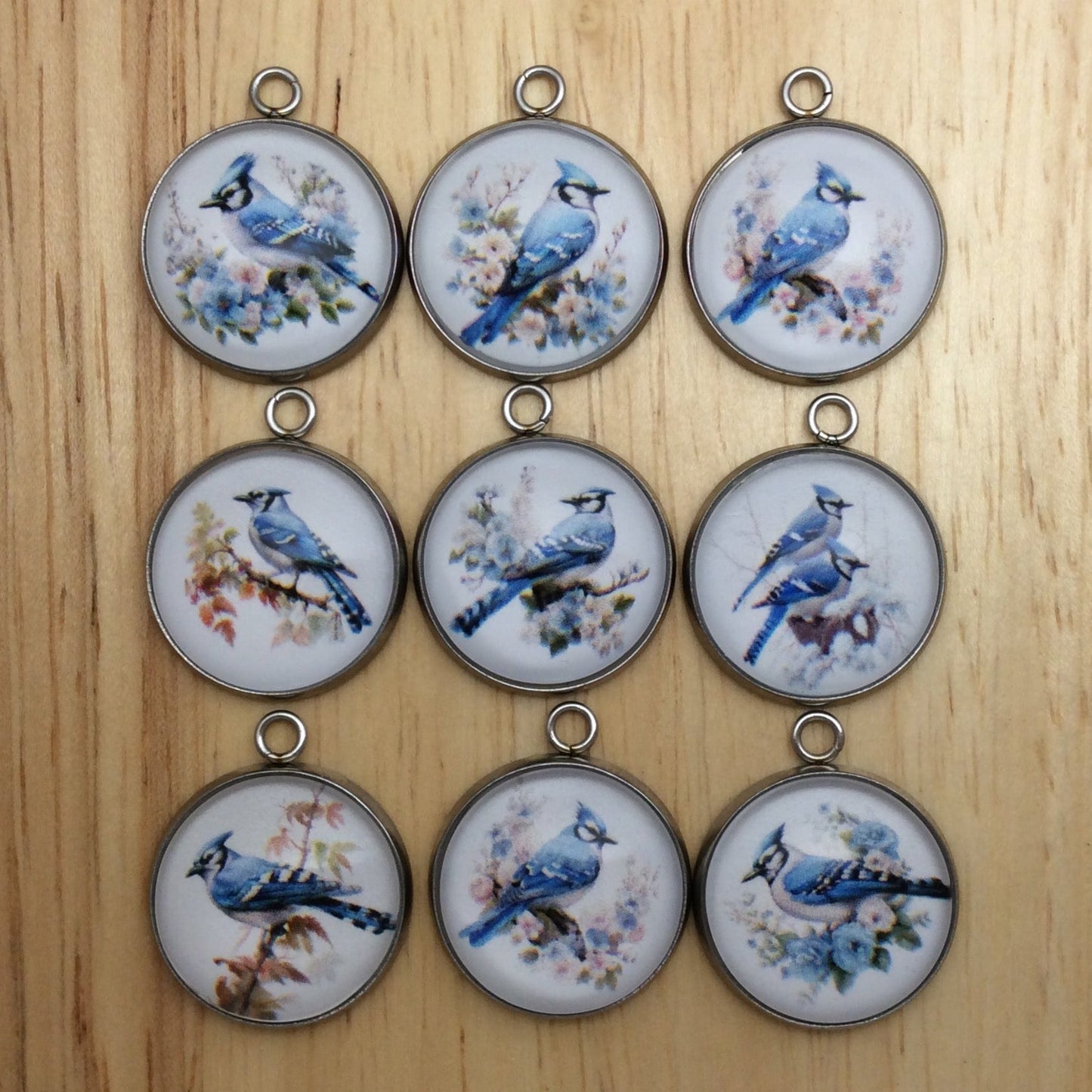 Blue Jay Photo Glass Cabochon Charms - ILikeWorms