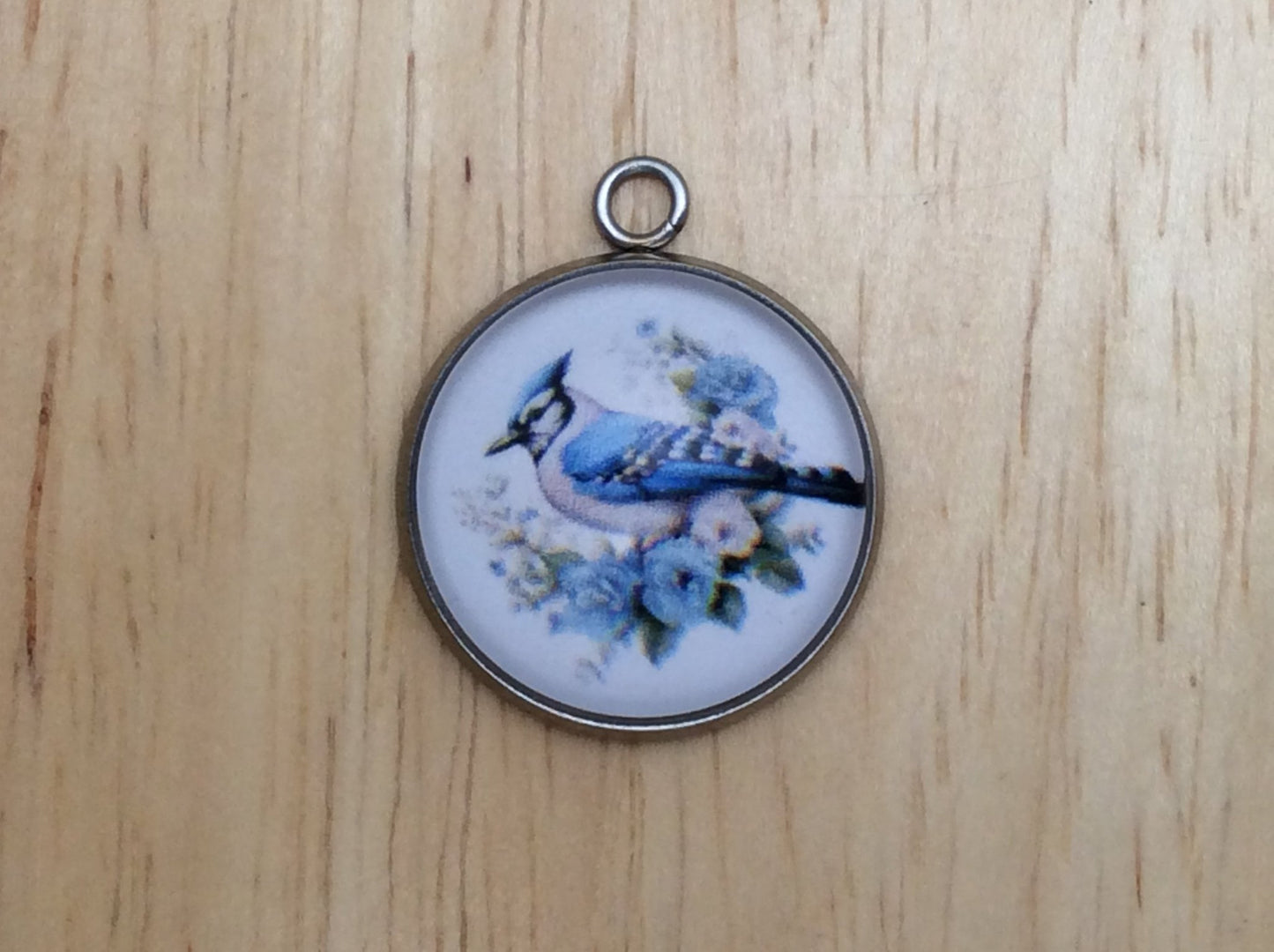 Blue Jay Photo Glass Cabochon Charms - ILikeWorms