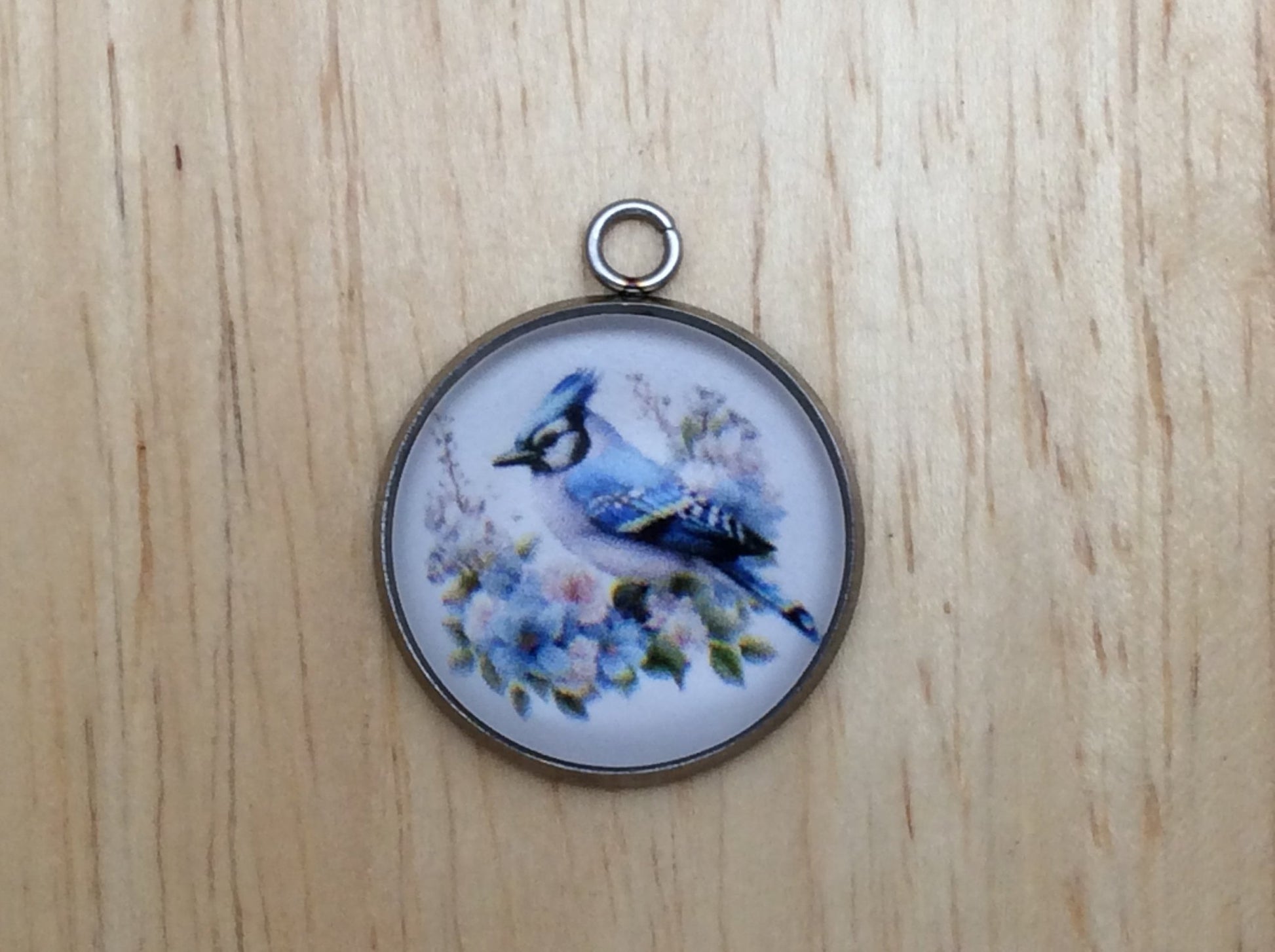 Blue Jay Photo Glass Cabochon Charms - ILikeWorms