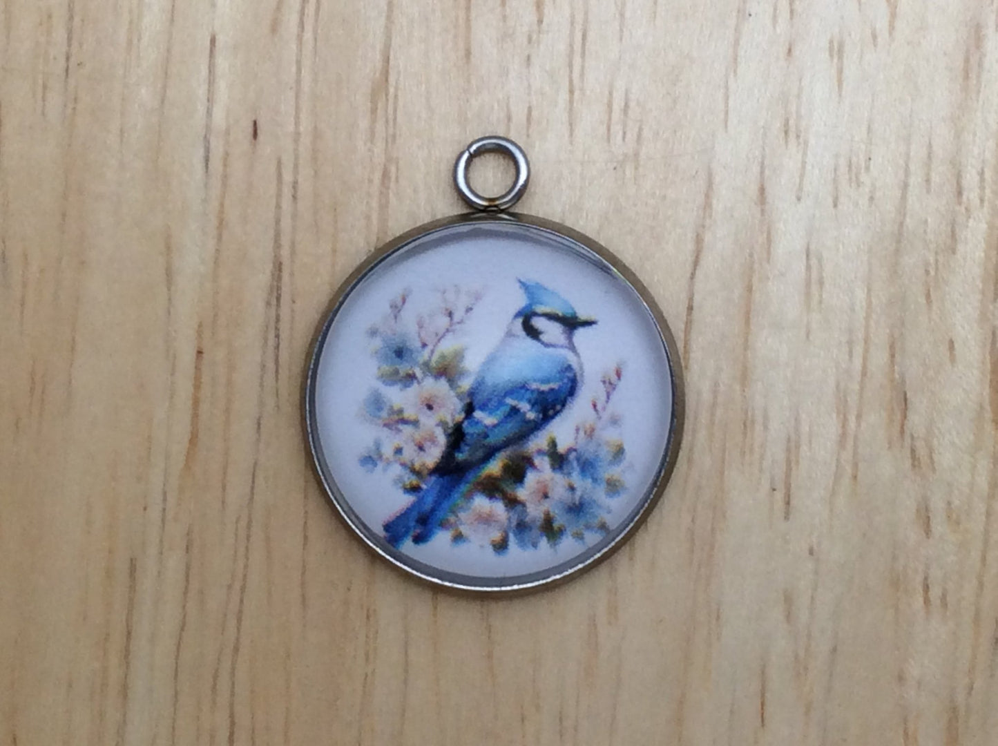 Blue Jay Photo Glass Cabochon Charms - ILikeWorms