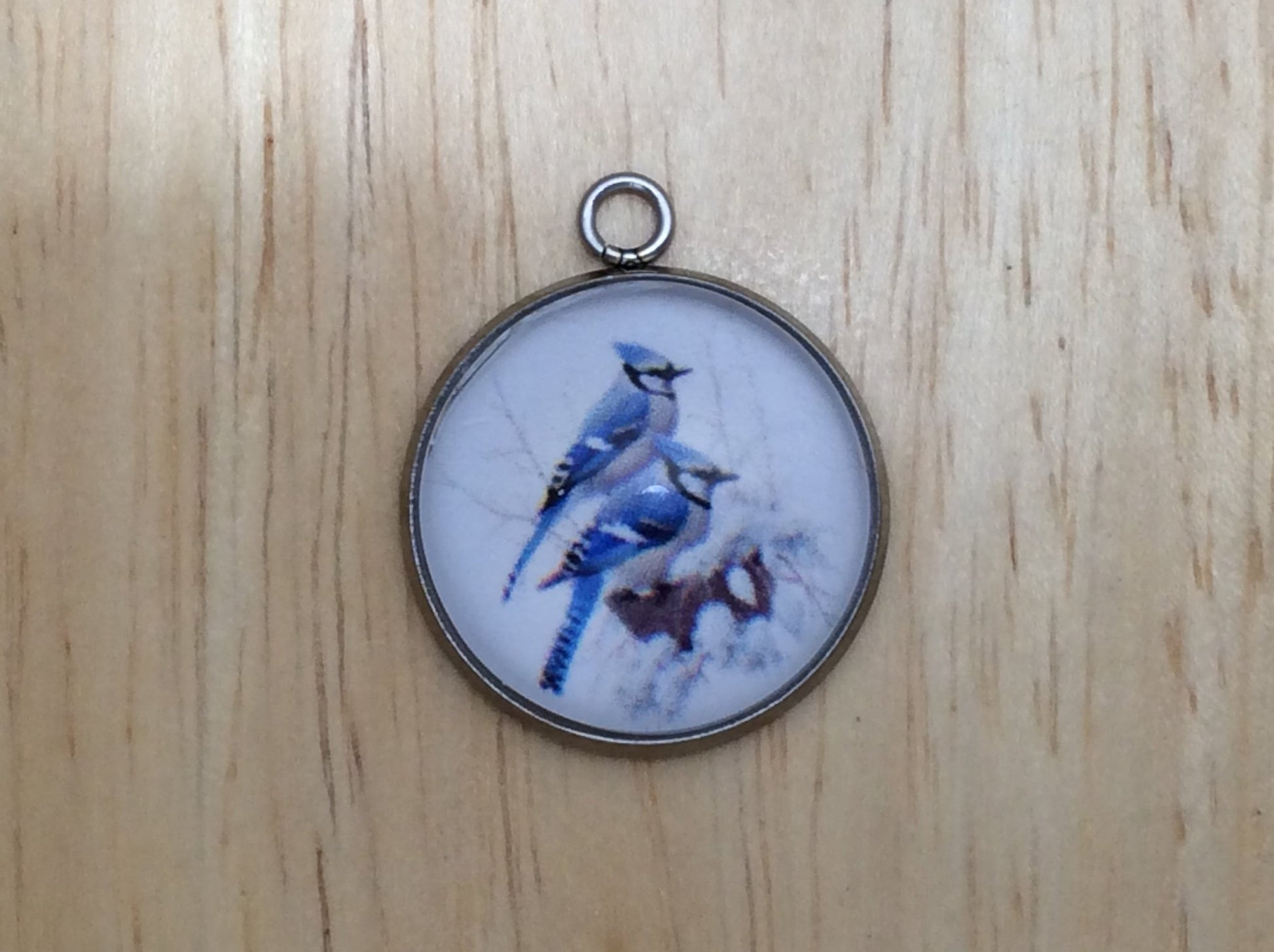 Blue Jay Photo Glass Cabochon Charms - ILikeWorms