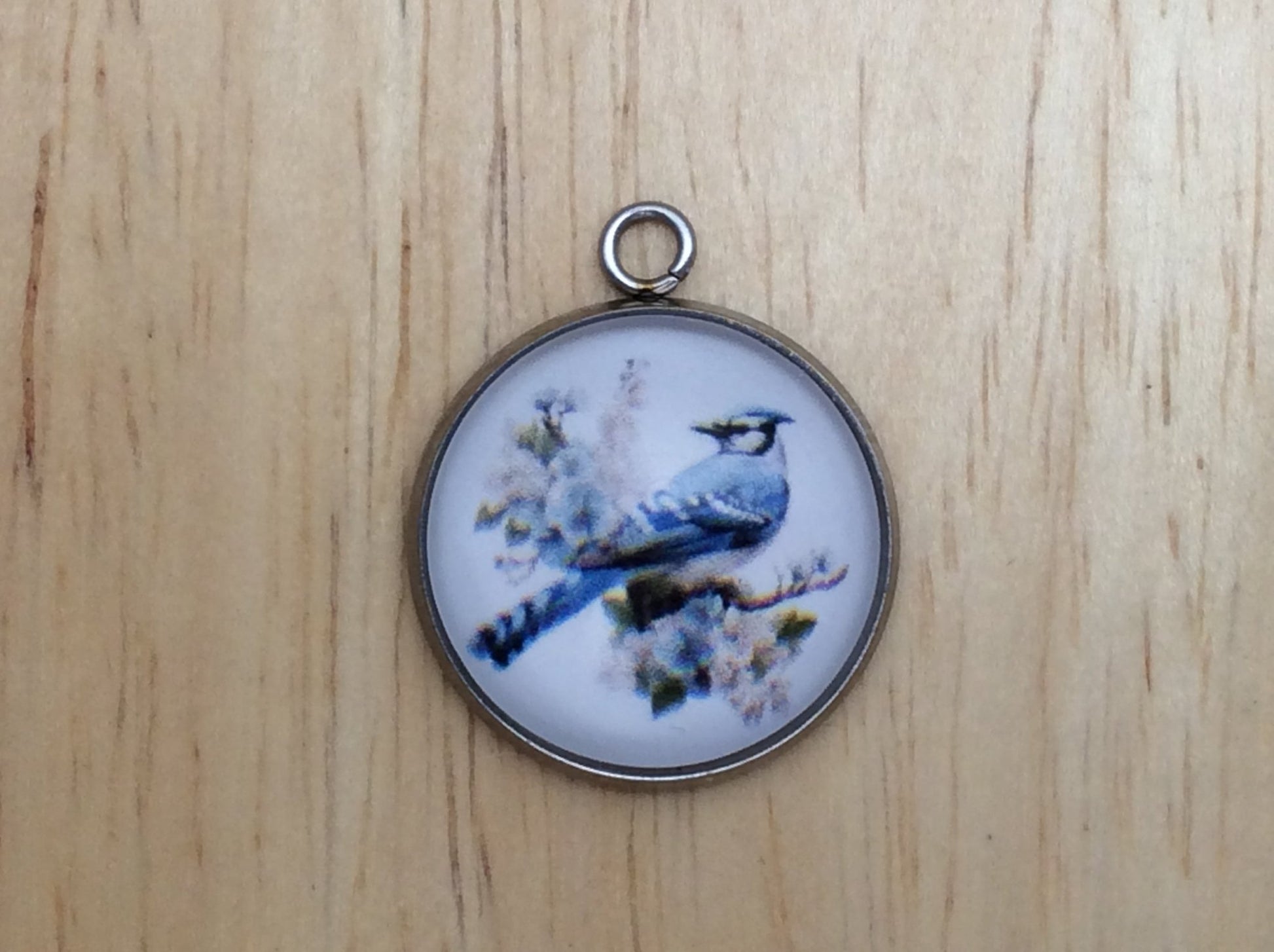 Blue Jay Photo Glass Cabochon Charms - ILikeWorms