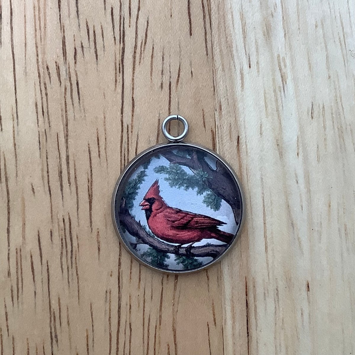 a charm of a cardinal on a juniper branch