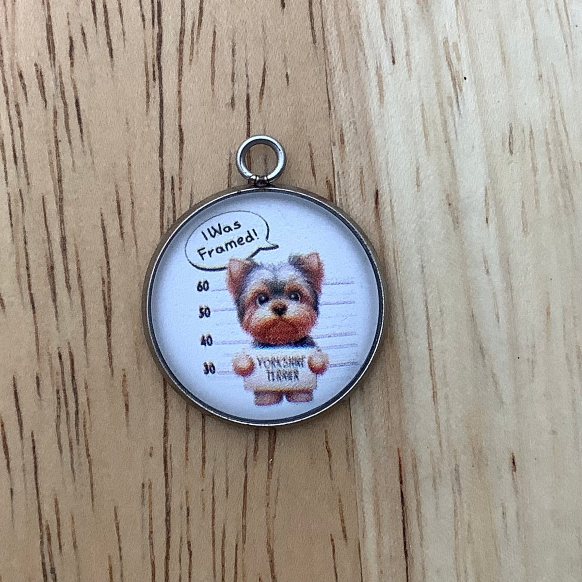 Yorkshire Terrier in a mug shot stating I Was Framed