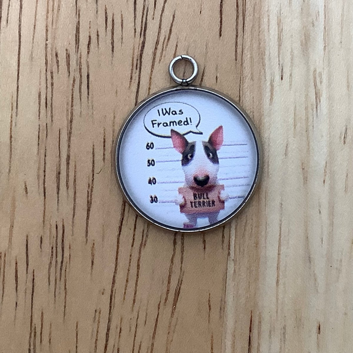 Bull Terrier in a mug shot stating I Was Framed