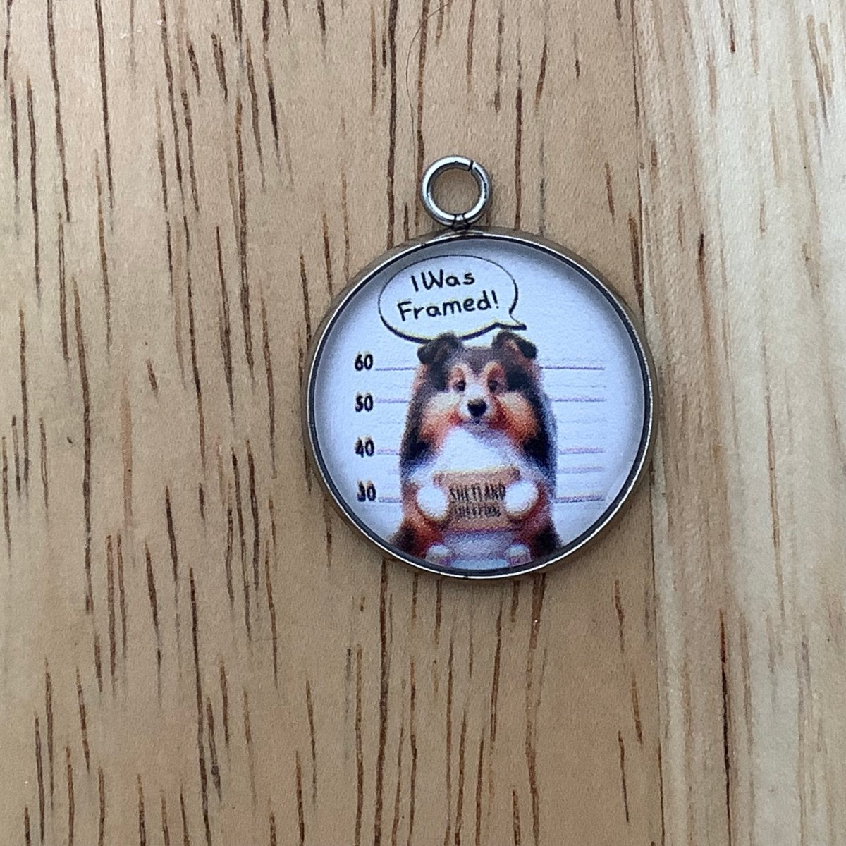 Shetland Sheepdog in a mug shot stating I Was Framed