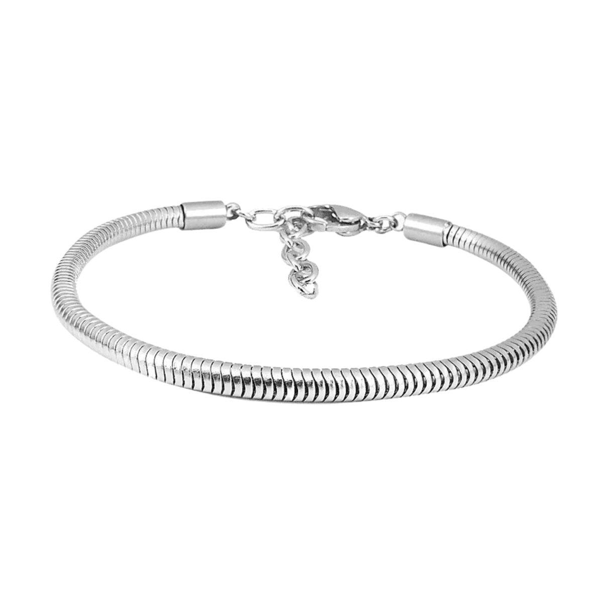 European Snake Chain Charm Bracelets, Pandora Style Bracelet, Stainless Steel