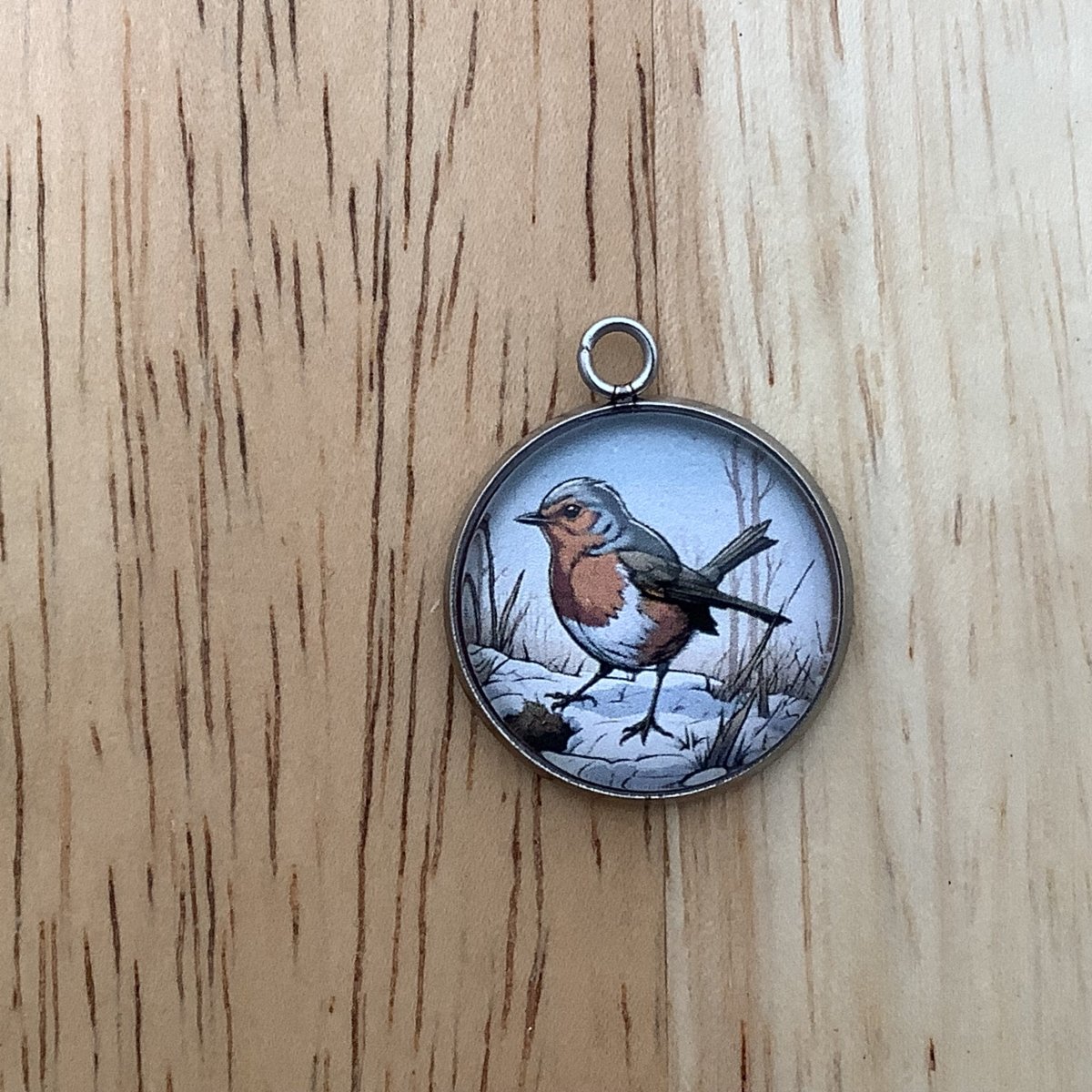 charm of a bird on a patch of snow in a field